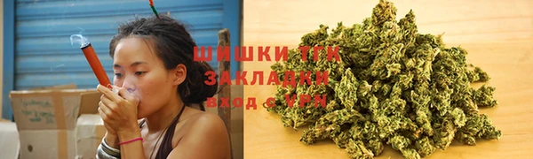 ГАЛЛЮЦИНОГЕННЫЕ ГРИБЫ Пестово