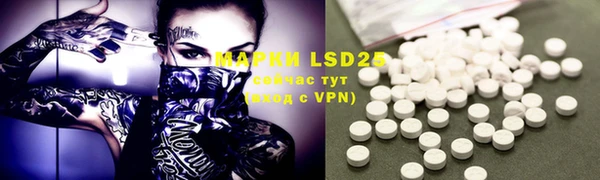 PSILOCYBIN Пересвет