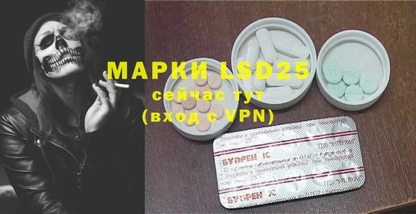 ГАЛЛЮЦИНОГЕННЫЕ ГРИБЫ Пестово