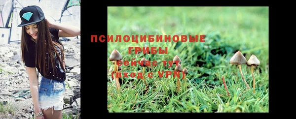 ГАЛЛЮЦИНОГЕННЫЕ ГРИБЫ Пестово