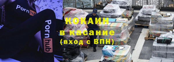 ГАЛЛЮЦИНОГЕННЫЕ ГРИБЫ Пестово