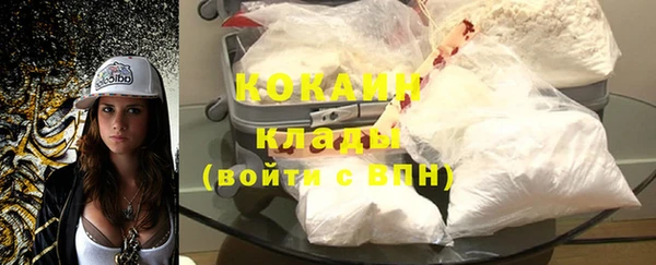 ГАЛЛЮЦИНОГЕННЫЕ ГРИБЫ Пестово