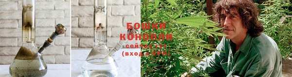 ГАЛЛЮЦИНОГЕННЫЕ ГРИБЫ Пестово