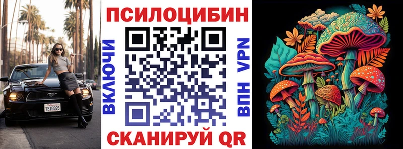 Галлюциногенные грибы Psilocybine cubensis  Химки 